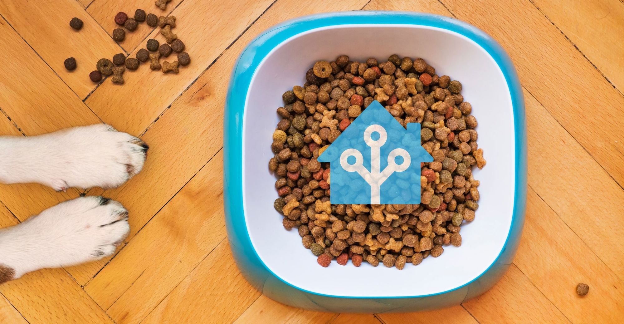 Smart Pet Feeder